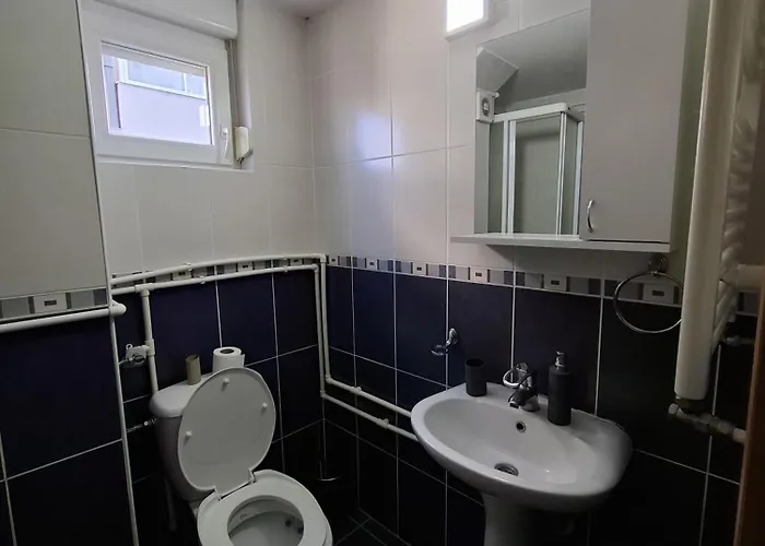 Bojkovic Vrnjačka Banja